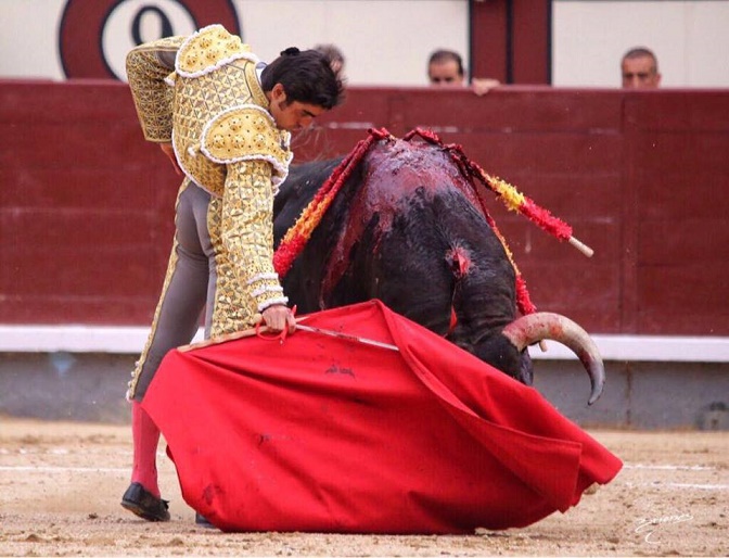 Second trophée de France des praticos dans les arènes du Plumaçon